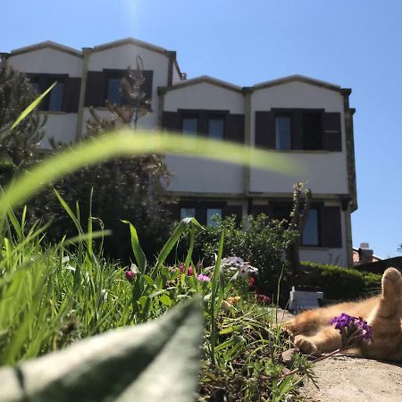 בוזקאדה Apollon Hotel מראה חיצוני תמונה