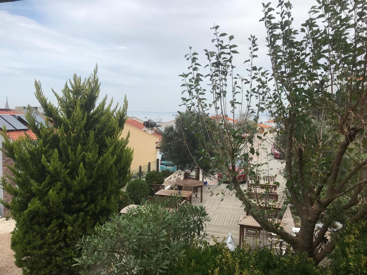 בוזקאדה Apollon Hotel מראה חיצוני תמונה